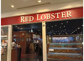 レッドロブスター　アクアシティお台場店: こーきーずさんの2026年03月の1枚目の投稿写真