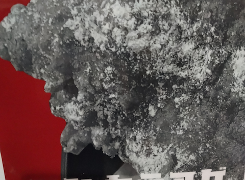 それゆけ!鶏ヤロー! 東十条店: ふくさんの2025年11月04日の3枚目の投稿写真