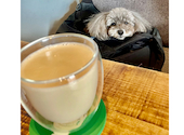 cafe Laki カフェ ラキ: ぷーたさんの2026年03月24日の2枚目の投稿写真