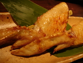 神田 彩庵: TamTamさんの2008年10月02日の1枚目の投稿写真