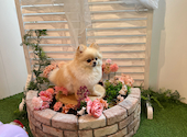 Latere Garden(ラテレガーデン)横浜: 坪井さんの2026年06月28日の2枚目の投稿写真