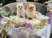 Latere Garden(ラテレガーデン)横浜: 坪井さんの2026年06月28日の3枚目の投稿写真