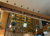 Cafe&Bar poco rit. ポコリット: うめこさんの2025年10月29日の2枚目の投稿写真
