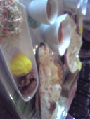 タンドール: thidaさんの2010年03月18日の1枚目の投稿写真