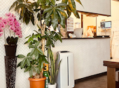 カフェ グロウ 嵐山 Cafe GROW Arashiyama×Can☆Do: yuさんの2026年09月01日の2枚目の投稿写真