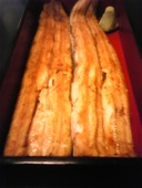 神田きくかわ 神田店: 葵遠院如水さんの2009年10月30日の3枚目の投稿写真