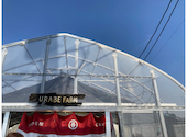くろいちごCafe 浦部農園 茂原: にしさんの2021年02月23日の1枚目の投稿写真
