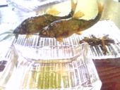 洛雲荘: KTTommyさんの2008年07月20日の2枚目の投稿写真