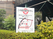 森のほとり: さやさんの2026年08月07日の1枚目の投稿写真
