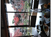 和食 懐石 がんこ 高瀬川二条苑: ゆきこさんの2020年12月15日の1枚目の投稿写真