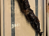 小川の魚: アラスターさんの2026年05月05日の1枚目の投稿写真