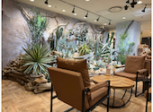 cafe Earth + h.l: しばさんの2026年09月27日の1枚目の投稿写真