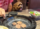 焼肉 IWAいわ 新大久保新宿店: wako555さんの2026年07月12日の1枚目の投稿写真