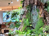 cafe Earth + h.l: しゃおさんさんの2026年09月14日の3枚目の投稿写真