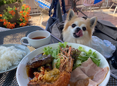 cafe&restaurant ORANGE BALCONY オレンジバルコニー: Kさんの2026年05月16日の1枚目の投稿写真