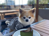 琵琶湖ノ食堂 higoroTERRACE: Kさんの2026年10月14日の1枚目の投稿写真
