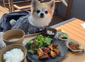 琵琶湖ノ食堂 higoroTERRACE: Kさんの2026年10月14日の2枚目の投稿写真