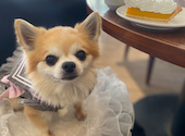 カプリチョーザ ブランチ大津京店: Kさんの2026年09月22日の1枚目の投稿写真