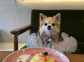 mofuholic モフホリック 夜甘: Kさんの2026年09月21日の1枚目の投稿写真