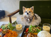 mofuholic モフホリック 夜甘: Kさんの2026年09月21日の2枚目の投稿写真