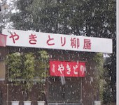 焼き鳥　柳屋: ヤマドさんの2015年07月27日の1枚目の投稿写真