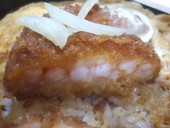 芝原: ヤマドさんの2011年08月03日の3枚目の投稿写真