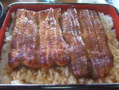 谷田川本店: ヤマドさんの2011年08月03日の3枚目の投稿写真