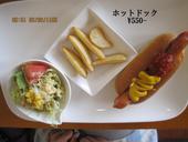 しらかば: ヤマドさんの2011年08月03日の2枚目の投稿写真