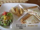 しらかば: ヤマドさんの2011年08月03日の3枚目の投稿写真