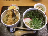 豆だぬき: ヤマドさんの2010年04月27日の3枚目の投稿写真