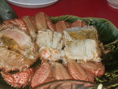 ユック 千歳空港ターミナルビル店: ヤマドさんの2010年01月26日の1枚目の投稿写真