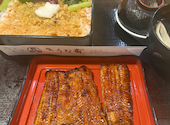 うな菊: ぽちょごんさんの2026年07月04日の1枚目の投稿写真