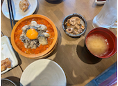 茨城まるごと 四〇屋: ニャンコさんの2026年06月06日の1枚目の投稿写真