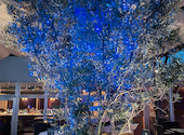 REGINA S FISH HOUSE レジーナズ フィッシュハウス: やっしーさんの2024年06月27日の3枚目の投稿写真