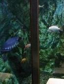 ムーミンパパ: 7さんの2008年01月03日の1枚目の投稿写真