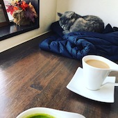 ねこカフェ&ねこ酒場 らて: ふーみんさんの2019年11月04日の1枚目の投稿写真