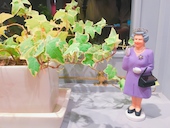ハンバーグレストラン lala ララ: 沢尻ユリカさんの2018年08月06日の3枚目の投稿写真