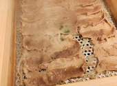 韓国料理 9"36 ギュウサム 渋谷東口店: あがたさんの2021年10月17日の1枚目の投稿写真