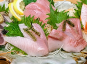 魚吉酒場 新橋店: ハクさんの2026年07月16日の2枚目の投稿写真