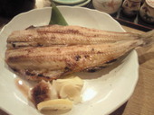 うず潮屋 関内店: みんみんさんの2011年01月11日の3枚目の投稿写真