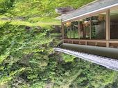 悠苑川徳離れ: フロランタンさんの2016年04月25日の3枚目の投稿写真