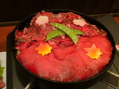 馬鹿鍋 浜幸: うさぴさんの2010年02月20日の1枚目の投稿写真