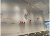 & Yogurt アンドヨーグルト 横浜店: しろくまさんの2026年09月09日の2枚目の投稿写真