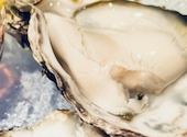 【生牡蠣0円/3時間飲み放題】イタリアン×グリル&ワイン ペルレ地中海 錦糸町店: みさんの2026年06月10日の1枚目の投稿写真
