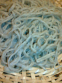 とう松: あよさんの2006年12月01日の1枚目の投稿写真