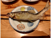 みみずく名駅店: さくさくさんの2026年05月16日の1枚目の投稿写真