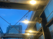 星降る夜空ビアガーデン スカイテラス 新橋店: あさんの2026年07月03日の1枚目の投稿写真