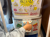 かっぱ寿司 岐阜又丸店: えさんの2026年06月24日の2枚目の投稿写真