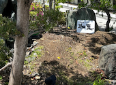 珈琲庵　珈集　東加古川店: なかさんの2026年04月28日の2枚目の投稿写真