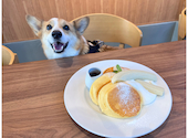 幸せのパンケーキ淡路島テラス: ぼれおさんの2026年03月の1枚目の投稿写真